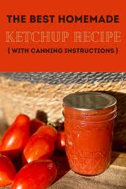 the best homemade ketchup made with