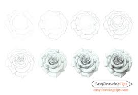 to draw a rose step by step tutorial