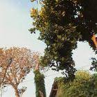 新聞稿 被誤會剛剛敷過臉 霓淨思24h守護妳的保濕續航力 neogence 霓淨思 保濕 透潤 水光 品牌新聞 妞新聞niusnews electronic