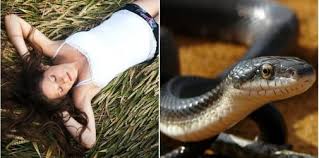 Tidak sedikit yang mengatakan, faktor kondisi tubuh menjadi salah satu faktor tidur kita ada beberapa jenis ular yang sering ada dalam mimpi seseorang. Mimpi Ular Saat Hamil Apakah Bisa Jadi Pertanda Buruk