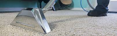 parvo carpet cleaning protocol in