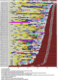 Measuring Appropriate Use Of Antibiotics In Pyelonephritis