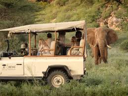 Image result for kenya safari