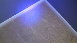 finding pet urine with blacklight