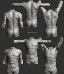 When women look at men's torsos, the v shape is victorious. Artstation Anatomy Study Muscles Motion Male Torso Olivier Cefai