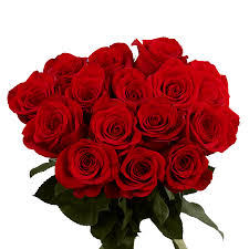 red roses 50 fresh flowers for