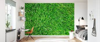 Fresh Green Grass – trendy wall mural ...