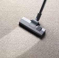 carpet care maintenance dalton ga