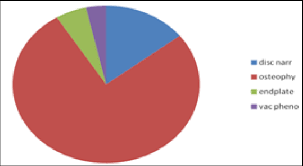 Pie Chart Showing Percentages Of Radiographic Components Of