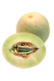 Honeydew Melon 16 Cm Web Page Has A Pictorial Size