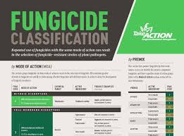 Soy Checkoff Now Prioritizing Fungicide Resistance Education
