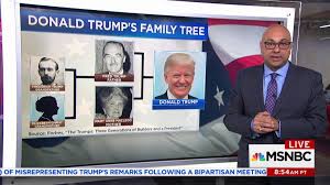 Donald Trumps Immigrant History And Family Tree
