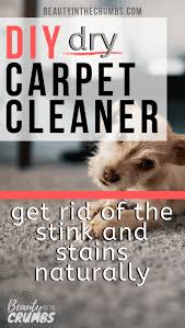 homemade dry carpet cleaner beauty in