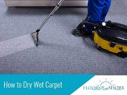 How to Dry Wet Carpet | Floors by the Shore