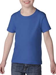 Gildan G510p Toddler Heavy Cotton 5 3 Oz T Shirt Bulk Orders Create Your Own Kids Apparel No Minimum T Shirts Custom One