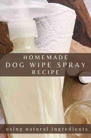 homemade dog wipes for easy cleaning