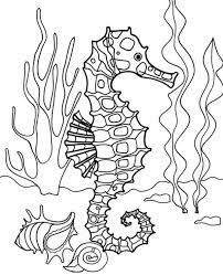 These free and unique seahorse coloring pages will enlighten young minds on this lovely marine species in a fun way. Seahorse Ocean Bottom Coloring Sheet In 2020 Horse Coloring Pages Ocean Coloring Pages Fish Coloring Page