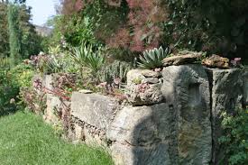 Weitere ideen zu trockenmauer, steinmauer garten, gartenmauern. Die 10 Schonsten Pflanzen Fur Trockenmauer Und Co Garten Diybook At