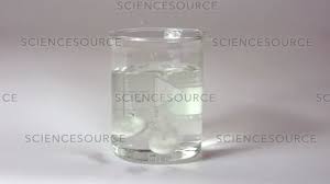 Alka Seltzer Effervescent In Water