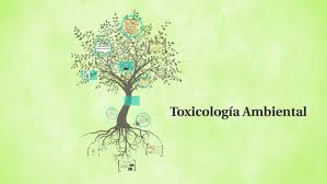 Toxicologia Ambiental by Luz Angela Rojas Mendez on Prezi Next