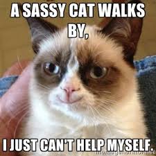 A Sassy Cat walks by, I just can&#39;t help myself. - Grumpy Cat Smile ... via Relatably.com