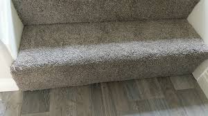 professional cleaning carpet care in