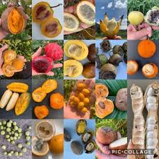 La fruta es vida, ¡disfrútala! Frutas De Colombia Frutascolombia Twitter
