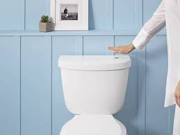 Kohler Touchless Flush Toilets And Kit