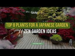 Top 8 Plants For A Japanese Garden