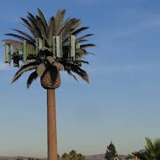 The Bizarre History Of Cellphone Towers Disguised As Trees Vox