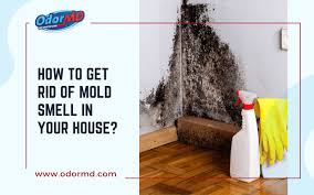 5 ways to get rid of mold smell in your