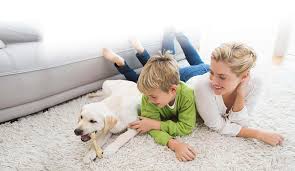 pet stain and odor removal roseville ca