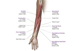 pediatric spasticity dosing and