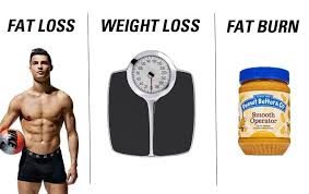 fat loss weight loss and fat burning