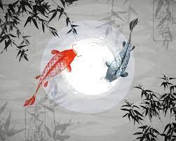 Japanese Koi Fish Photo Wallpaper Mural