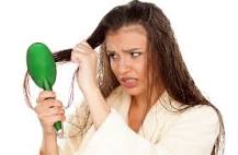 should-i-brush-my-hair-wet-or-dry