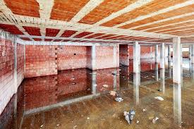 Basement Flooding Water Damage Repair