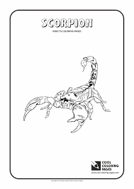 Scorpion as he battles against the flash. Scorpion Kids Coloring Scorpion Coloring Page To Print Out Coloring Pages Berri Anayelizavalacitycouncil Com