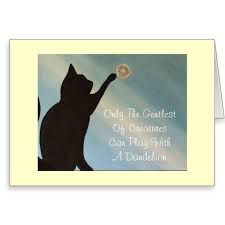 Pet Sympathy Card - Cat (Kinky Friedman quote) | Zazzle via Relatably.com