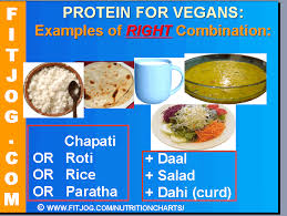 Protein In Grains And Protein Rich Indian Food For