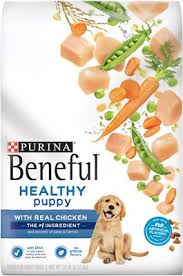 Purina Beneful Healthy Puppy With Real Chicken Dry Dog Food 14 Lb Bag