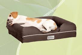 the 7 best dog beds for puppies of 2024