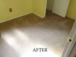 carpet cleaning house cleaning