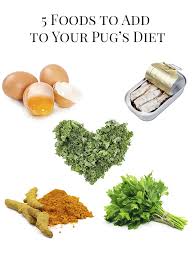 5 Foods To Add To Your Pugs Diet The Pug Diary