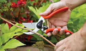 10 essential gardening tools every