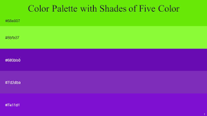 color palette with five shade bright