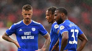 Image result for cardiff city