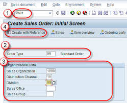 How To Create Sales Order Sap Va01