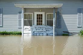 flood insurance company
