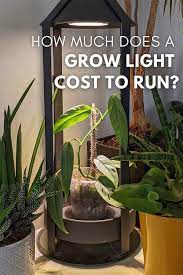 How Much Does A Grow Light Cost To Run